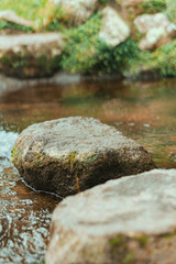 Tranquil stream flows over mossy rocks in nature