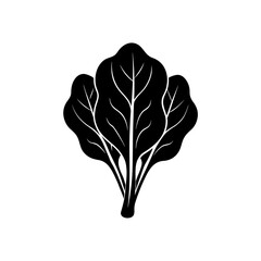vector illustration of a spinach