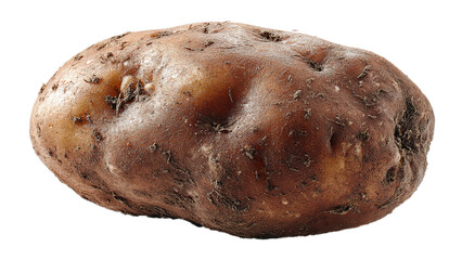 Fresh unpeeled brown potato with earthy texture and natural imperfections isolated on transparent background