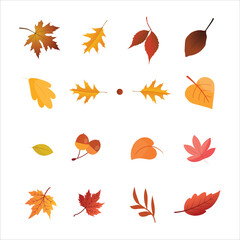 Set of Fall leaves, leaves falling during fall, autumn season yellow  and orange leaves, Autumn sale, up to 30, 40, 50% off, theme background, clean premium vector layout