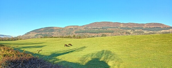 Obraz premium Slieve Gullion on a beautiful sunny day.