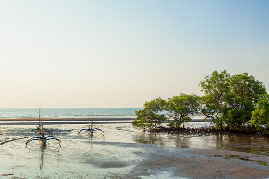 Traditional fishing boats rest on wet sand during low tide near mangroves. Calm sea, clear sky, warm tropical light create coastal scene perfect for travel, nature, and Indonesia lifestyle themes.