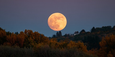 Large full moon is in the sky above a forest