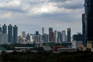 Naklejka premium a big area of green natural park with background of many building of the big city