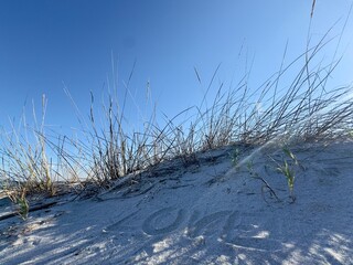 grass in the Beach with love