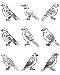 Each bird silhouette is unique, featuring different poses and feather details. Perfect for nature-themed designs, coloring books, educational materials, logos, patterns, and vector illustration 