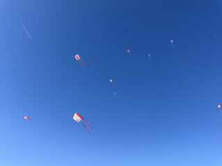 Kites in the Sky