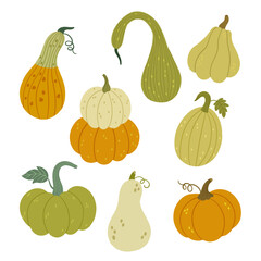 vector set of pumpkins