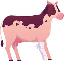 A cartoon cow with a bandaged leg, a sick animal, side view.