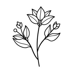 single line botanical sprig with two blossoms and leaves