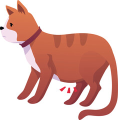 A sad cat wearing a collar with abdominal pain, an unhealthy animal.