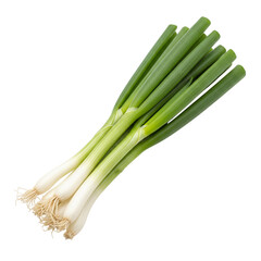 Bunch of fresh green onions isolated on transparent background, healthy ingredient