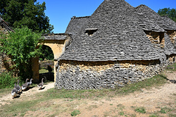 France, Dordogne, Perigord Noir, Dordogne valley, Saint-Andre-d'Allas, lieu-dit Calpalmas, cabanes du Breuil, old dry-stone farm buildings and flock of geese