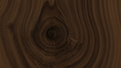 Fototapeta premium Beautiful dark wood texture with a knot