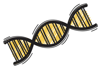 Black and yellow simple hand-drawn vector sketch of a double helix dna strand with striped pattern details.