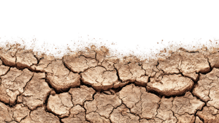 arid cracked earth texture showing dry soil pattern environmental drought background natural desert surface isolated on white background