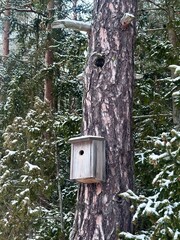 Vertical Christmas Xmas birdhouse rustic eco friendly wildlife winter snowy frost forest pine spruce fir conifer bark nordic hygge snowflakes morning holiday festive countryside copy space texture