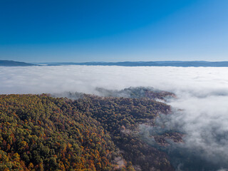 Early Autumn Fog and Forest Ridge – Cranberry Glades Landscape