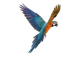 Isolated colorful macaw parrot in flight, brilliant plumage, captivating avian beauty, wildlife