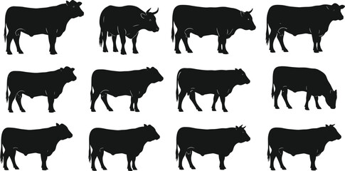 Cow silhouette collection, grazing cow poses, bull icon set, livestock vector, farm animal shapes, flat vector illustration, black silhouettes