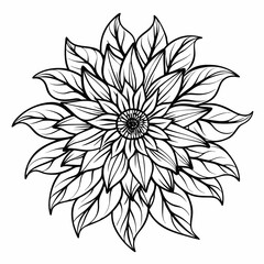 helianthus-tuberosus line art on white background
