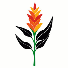  heliconia silhouette flower on white