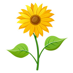 helianthus tuberosus flower vector isolated on white background