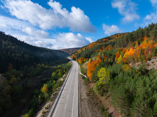 Autumn Colorful in the Turkiye Forest Drone Photo, Corum Turkiye (Turkey)