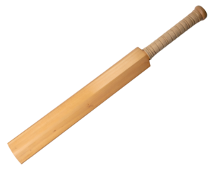 Natural wooden cricket bat with wrapped handle, full length diagonal view, clean studio lighting, sports equipment detail, on isolated background