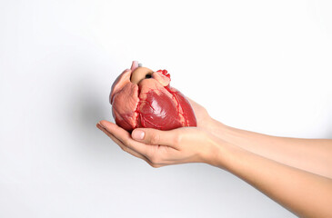 Un cuore tra le mani, concetto di donazione e testamento biologico