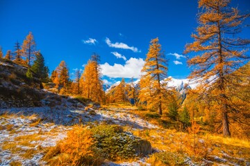 Fall colours in the mountains, Autumn outdoor, hiking in Alps