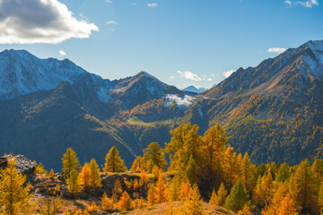 Fall colours in the mountains, Autumn outdoor, hiking in Alps