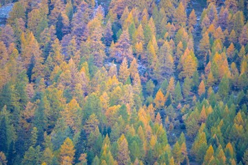 Fall colours in the mountains, Autumn outdoor, hiking in Alps