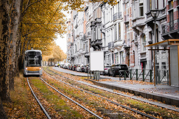 Autumn city scene with a modern tram on grassy rails surrounded by colorful foliage. Perfect for themes of sustainable transport, urban lifestyle, tourism, ecology and European infrastructure. © Arina Cristalova