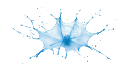 Blue Water Web Splash with Transparent Background