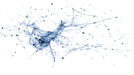 Abstract Web Network with Water Droplets on Transparent Background