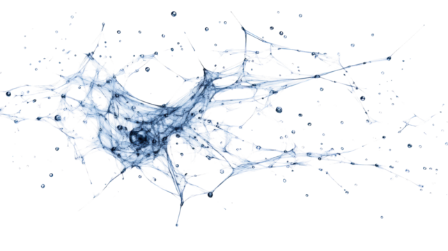 Abstract Web Network with Water Droplets on Transparent Background