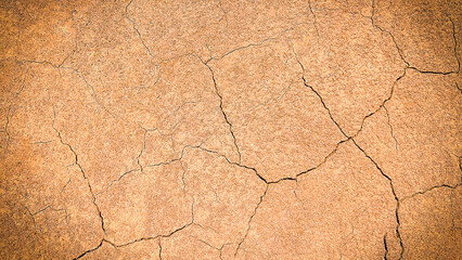 Dry Cracked Ground Texture with Natural Earthy Tones and Patterns