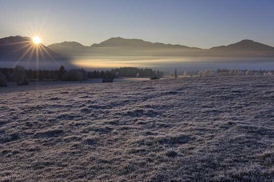 Foggy mood, sunrise, hoarfrost, winter, sunbeams, Loisach-Lake Kochel moor, view of Kochler mountains, Alpine foothills, Bavaria, Germany