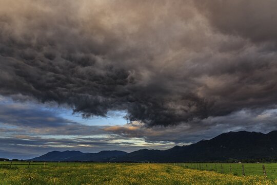 Thunderclouds, flower meadow, mountains, Loisach-Lake Kochel moor, view of Kochler mountains, Alpine foothills, Bavaria, Germany
