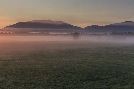 Foggy mood, morning light, mountains, summer, Loisach-Lake Kochel moor, behind Zwiesel, Alpine foothills, Bavaria, Germany