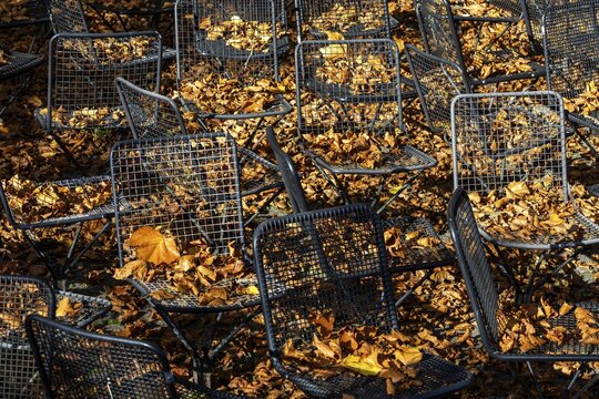 Metal wire frame chairs standing in autumn leaves, Baden-W&uuml;rttemberg, Germany
