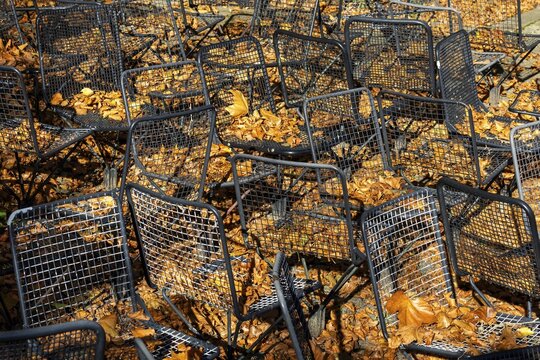 Metal wire frame chairs standing in autumn leaves, Baden-W&uuml;rttemberg, Germany
