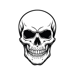 Obraz premium Detailed black and white illustration of a human skull with menacing expression and sharp teeth an intricate line art rendering of human mortality