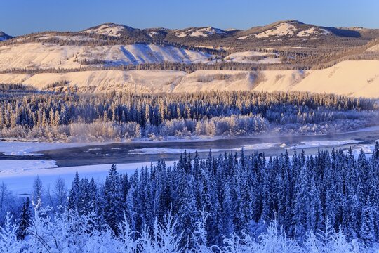 River, riverbed, river delta, icy, snowy, fog, mountains, conifers, morning light, winter, Yukon River, Klondike Highway, Yukon, Canada