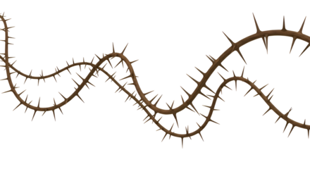Thorny vine with sharp spikes isolated on transparent background