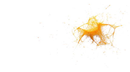  Yellow Web on Transparent Background