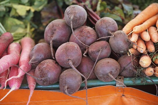 Beetroot (Beta vulgaris), beetroot, root, vegetable, Germany