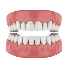 Obraz premium Human dental model showing upper and lower teeth isolated on transparent background