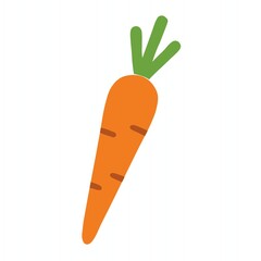 The image features a bright orange carrot with a green leafy top, showcasing a smooth, tapered shape. It represents health and nutrition.
